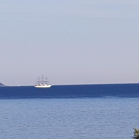 Vieille Ville D Ajaccio De 1 A 4 Pers A 300M Du Port Et A 15 Mn De Laeroport Proches De Plus Belles Plages Et Ttes Commodites A Proximite Экстерьер фото