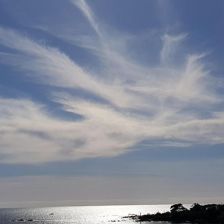 Vieille Ville D Ajaccio De 1 A 4 Pers A 300M Du Port Et A 15 Mn De Laeroport Proches De Plus Belles Plages Et Ttes Commodites A Proximite Экстерьер фото