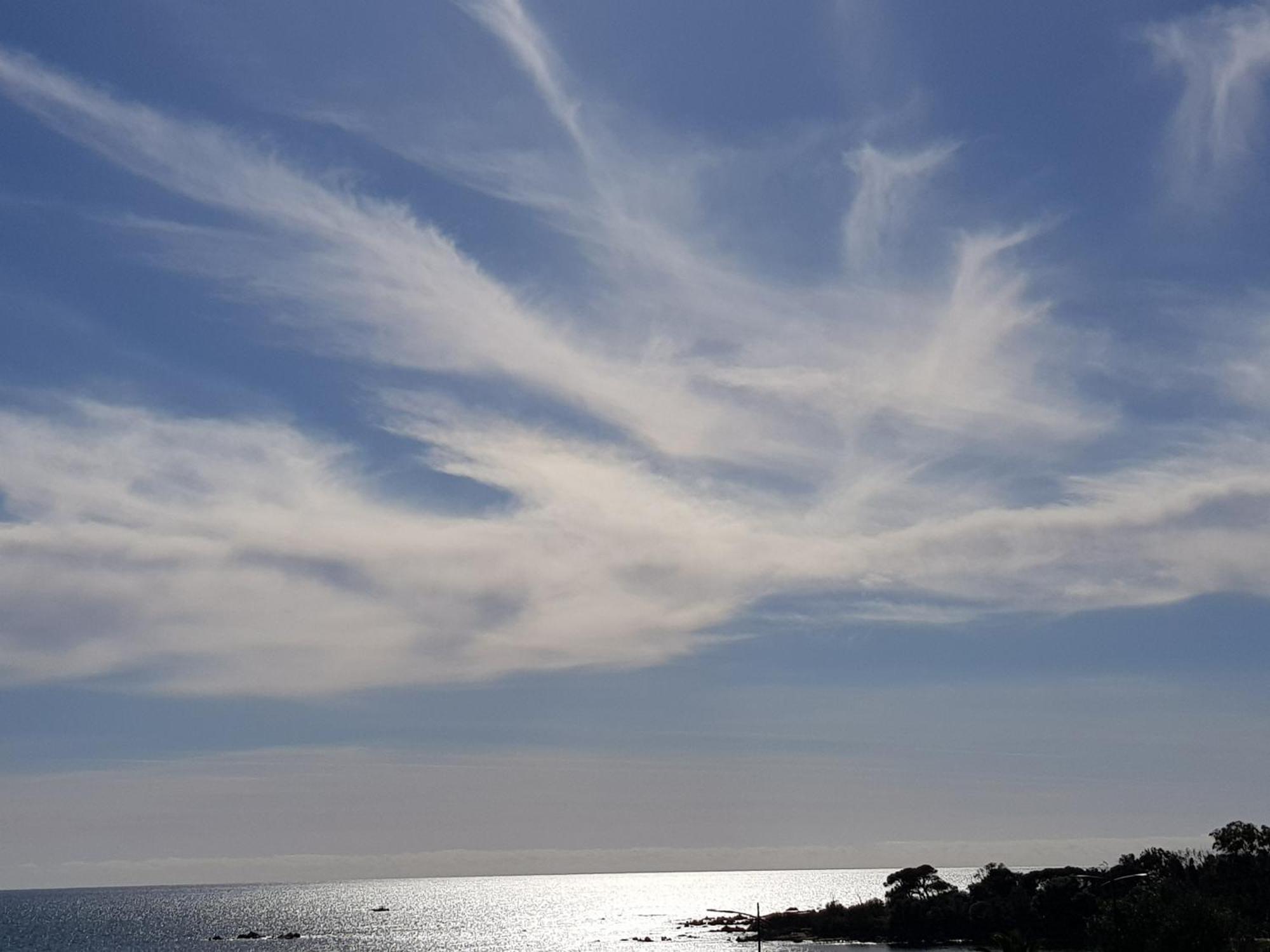 Vieille Ville D Ajaccio De 1 A 4 Pers A 300M Du Port Et A 15 Mn De Laeroport Proches De Plus Belles Plages Et Ttes Commodites A Proximite Экстерьер фото